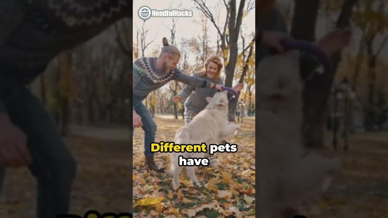 5 Pet Adoption Hacks: Essential Tips for Future Pet Owners” 🐾