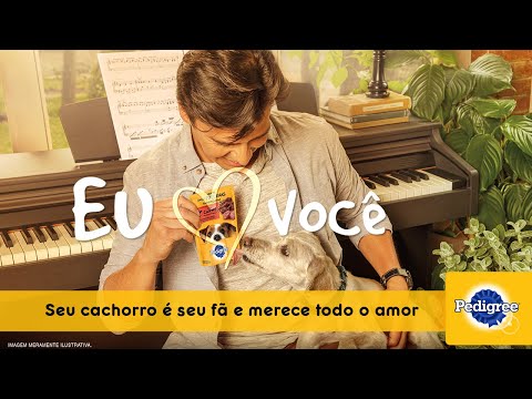 Sachê pra Cachorro: seu cachorro é seu fã | Eu Sachê Você | Pedigree®