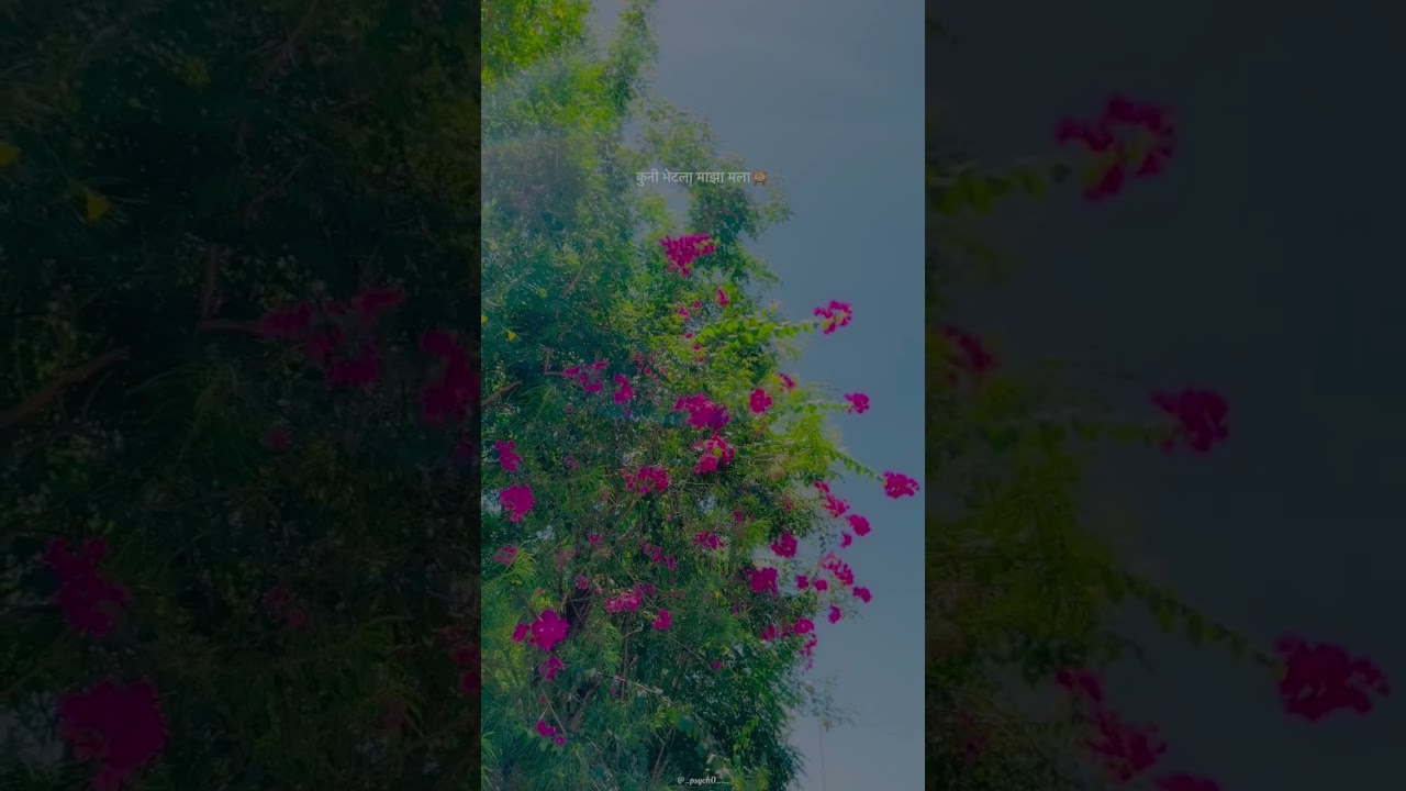 jagane nave vate mala 🥰❤️ 