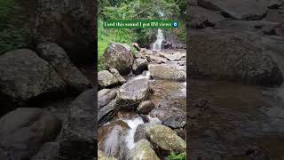 Waterfalls #nature #waterfalls #natureloversgallery #naturelovers #naturelove #shorts