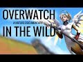IF OVERWATCH WAS A NATURE DOCUMENTARY 2