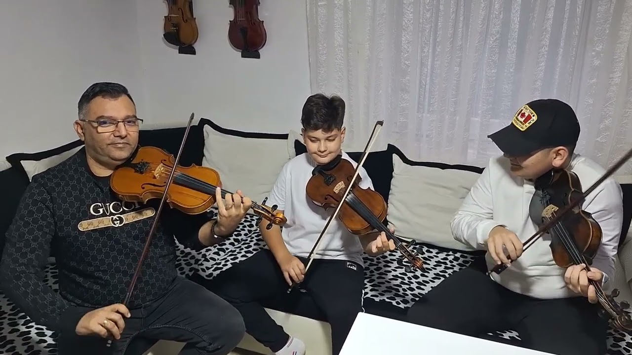 Daniel Gajić,Aca i Vlada Petrović