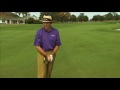 David Leadbetter Golf Academy - YouTube