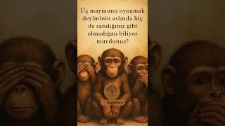 Üç Maymunun Gerçek Anl İlk Kez Duyacaksınız Bilgelik Dolu Bir Hikaye