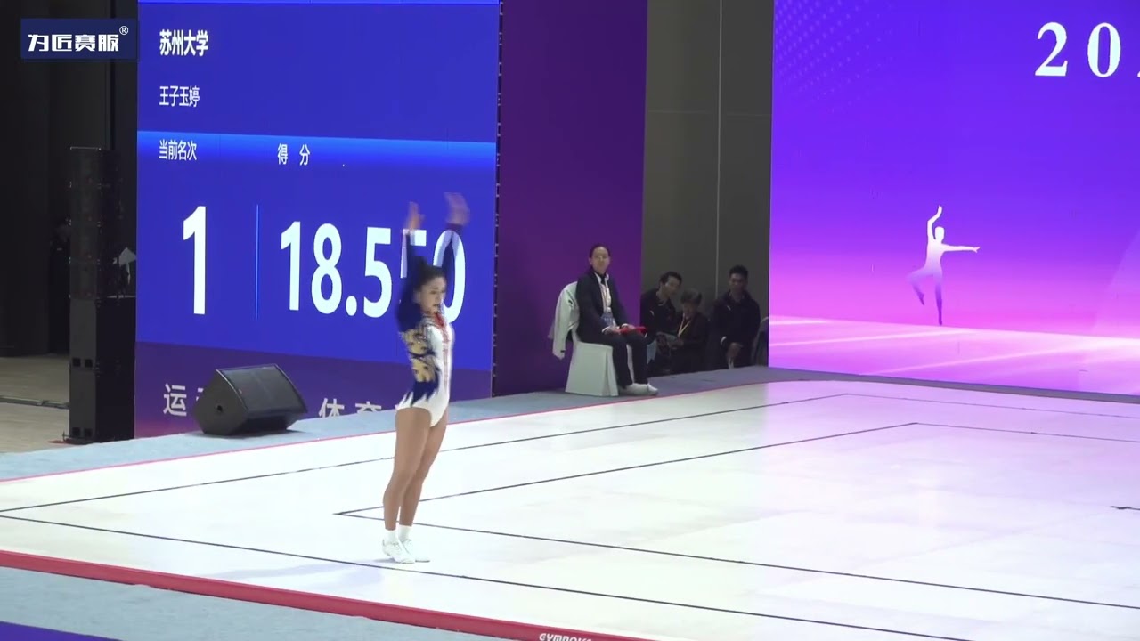 2024 China Aerobics Championship IW gold medal 