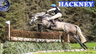 TOP Beautiful Hackney Horse in the World