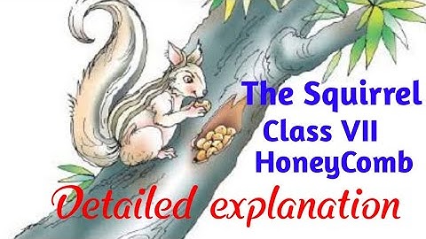 The Squirrel ~Mildred Bowers Armstrong~   #CBSE || #NCERT || CLASS 7 || ENGLISH || #HONEYCOMB