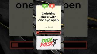 Dolphins Sleep with One Eye Open - Truth? 🐬