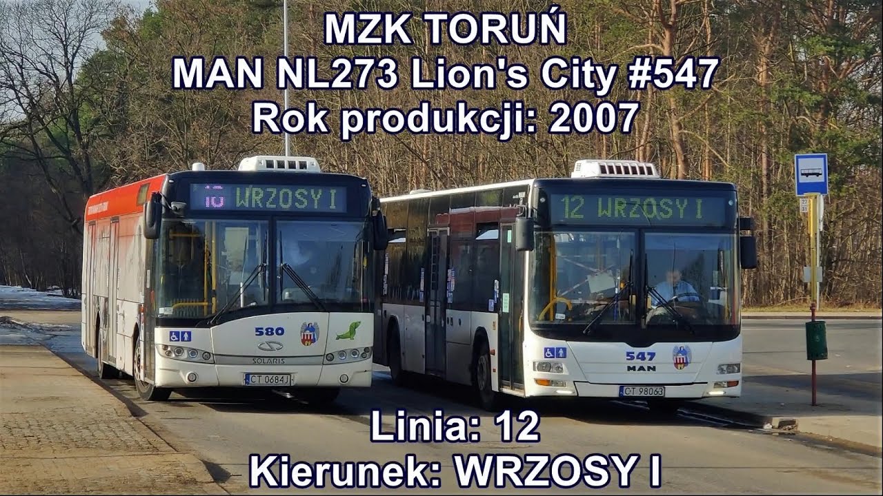 MZK Toruń - Linia 12, MAN NL273 Lion's City #547