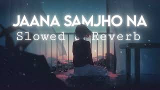 Jaana Samjho Na (Slowed + Reverb) | Bhool Bhulaiyaa 3 | Aditya Rikhari, Tulsi Kumar | Zinox 