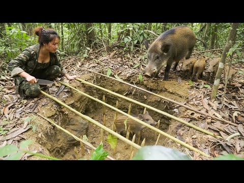 Full Video: Trapped Below, Guarded Above — A Wild Survival Moment