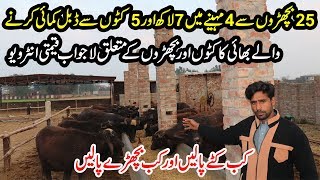 Katta Farming 2020 in Pakistan And Wacha Farming Tips | کٹا فارمنگ How To Buy Kattay