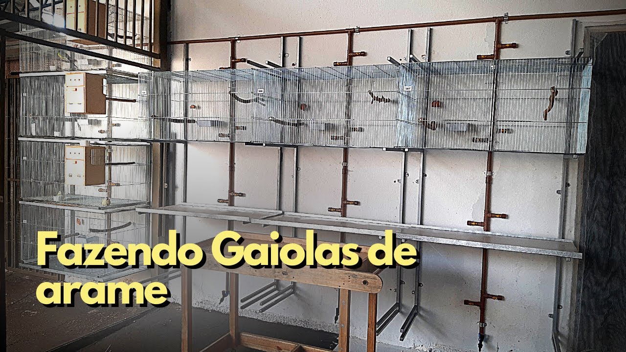 FAZENDO GAIOLAS DE ARAME GALVANIZADO & atualizações