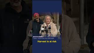 Celebrity President Trump is Leaving Hungry New Yorkers Behind Net Worth