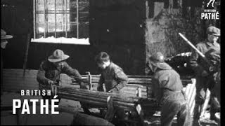 Boy Scouts Build Hut And Stables For Army (1915)
