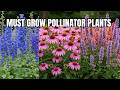 13 Must Grow Pollinator Garden Plants for Bigger Harvests