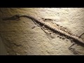 Understanding Plate Tectonics
