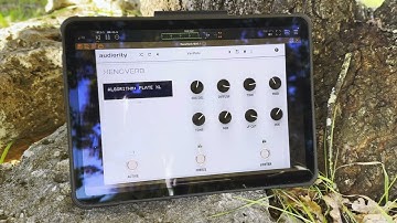Audiority XenoVerb v1.6 - Large Hall + Plate XL + iOS