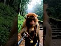 ஐயப்பனோட Selfie  | சபரிமலை வ்லாக் | KMV #shorts #viral #subscribe #monkey