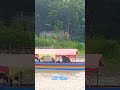 পিকনিক জাচ্ছে নৌকাতে। #mhfilms #vlog #gamingchannel #rain #youtubegaming #gamingyoutuber #nature