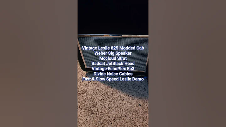 Strat + Vintage Leslie = Creamy Goodness