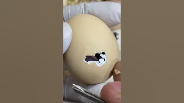 This egg need some help - stuck chick