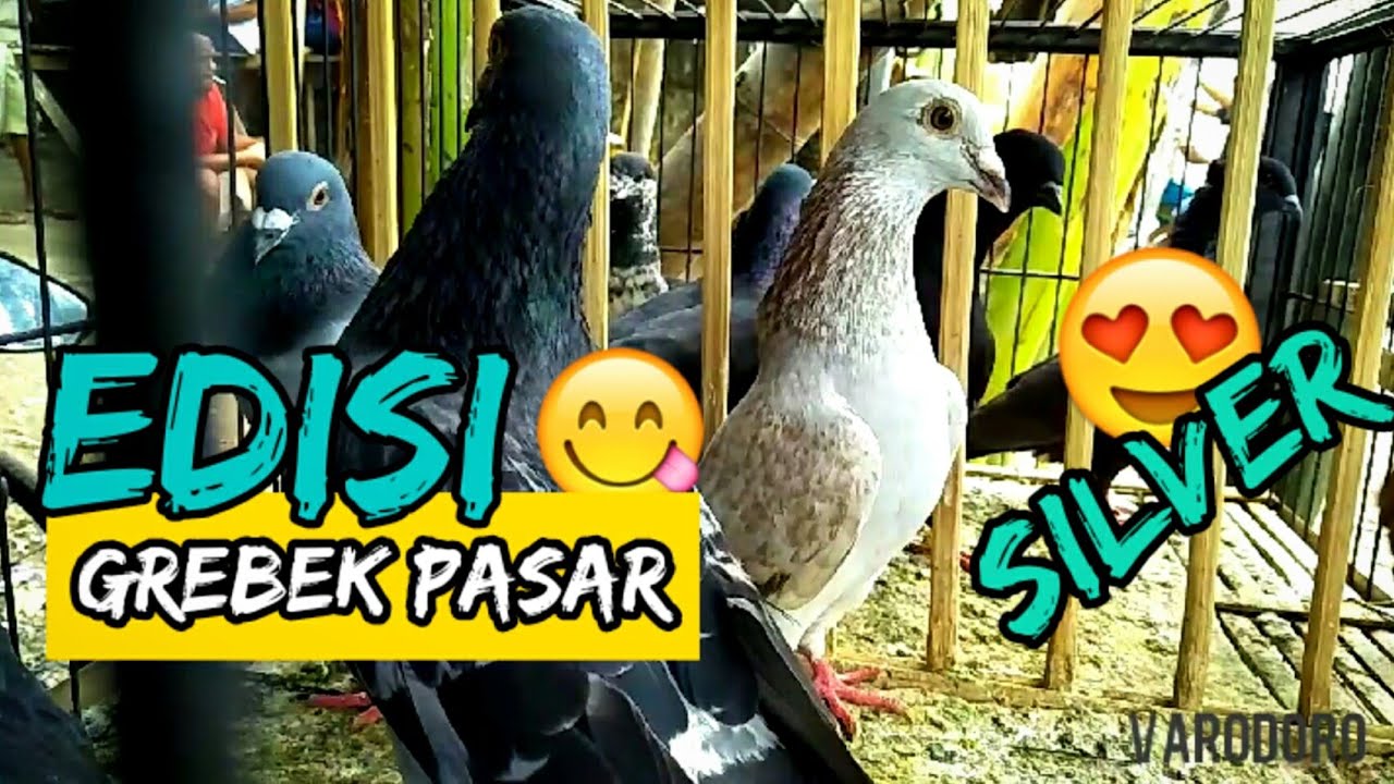 Merpati pos | warna val - silver - YouTube