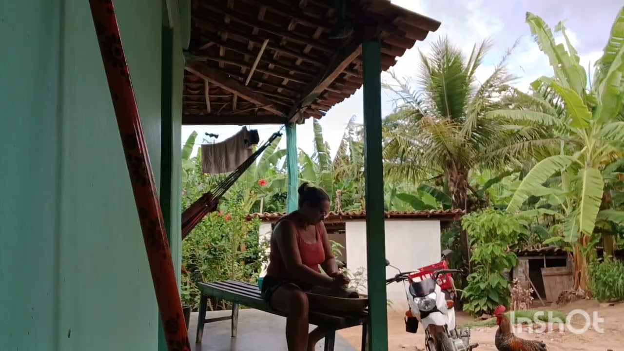 TERMINEI MINHA ROTINA FUI RALA O MILHO PARA MINHA MAE E MT SATISFATÓRIO  PODER ESTA COM ELES