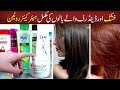 How to Choose Best Shampoo, Serum for Dry, Frizzy & Dandruff Hair - Hair Care Routine Damaged Hair