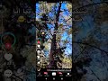 نشكيلك ياما همومي نشكيلك ياما همومي