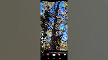 نشكيلك ياما همومي 