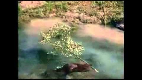 سنريهم آياتنا القندس - الشيخ النابلسي