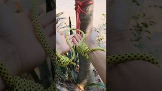 This Rope Tricks Can Save Your Life. #Knots #Shorts