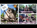 #6 МЫ купили ЗАБРОШЕННУЮ ДАЧУ/ Электричество / Новые жители дачи