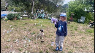 FREQUENT BUBBLES Rechargeable Bubble Gun Review!