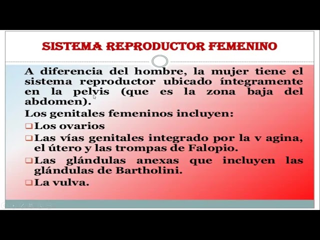Cali,10/06/2021
semana 17
biología 7- sistema reproductor
