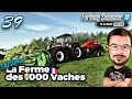 On ce creuse les mninge   les 1000 vaches  episode 39