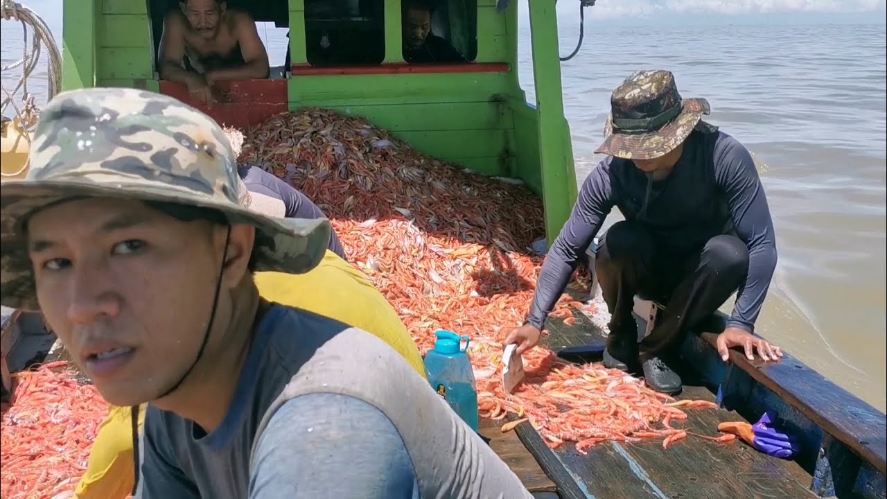 VIRAL KAMI NELAYAN, Cara menangkap Payak merah!