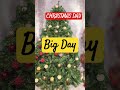 Christmas tree #christmas day #aspirantstruggle #aspirants #biggestday #25 December #sabsebadadin