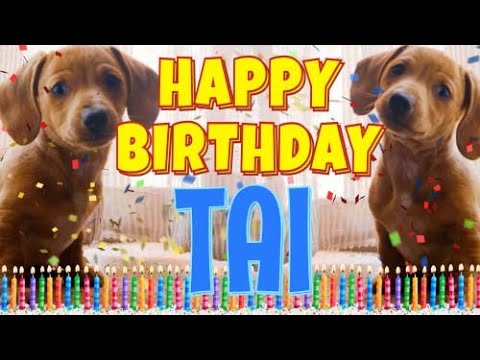 Happy Birthday Tai! ( Funny Talking Dogs ) What Is Free On My Birthday