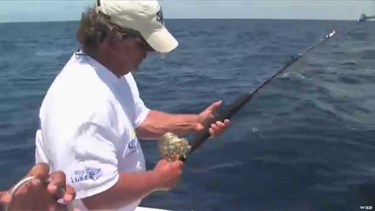 Dorado Fishing on the East Cape YouTube