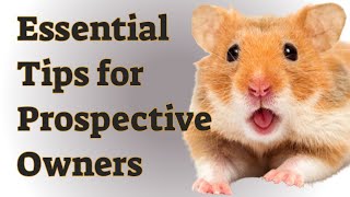 Things You Should Know Before Getting a Hamster