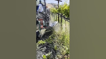 Weeding Brush Multi Clean XL || Made By Clemens Technologies Germany || #shorts