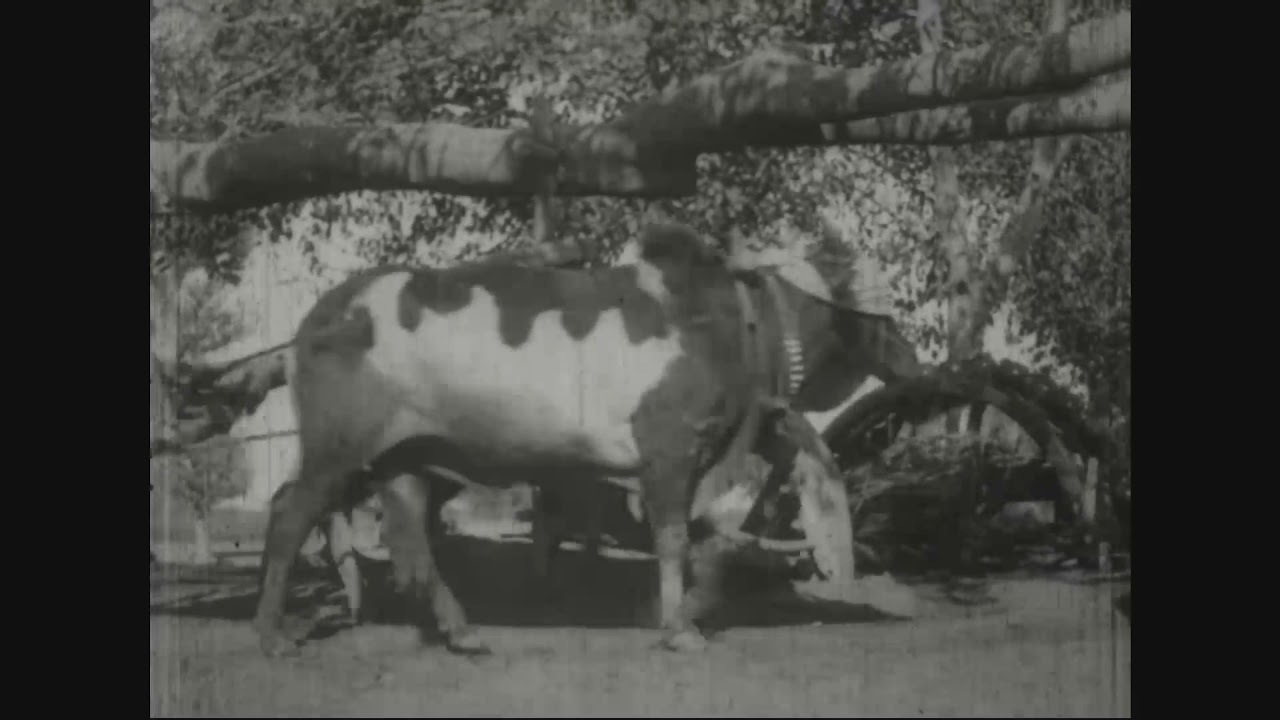 Scenes of India(1900)