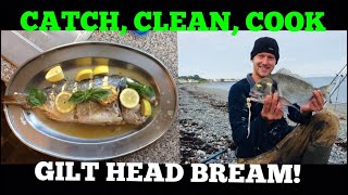 GILTHEAD BREAM , Catch ,Clean,Cook ! Fishing for Gilt Head Bream