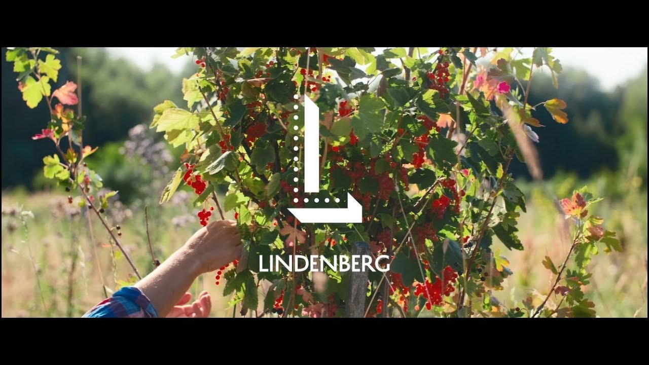 Das Lindenberg Home
