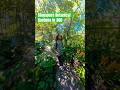 #botanicalgardens #singapore #360 #afrobawa #afrounboxed #travelvlog