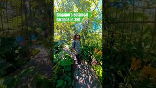 #botanicalgardens #singapore #360 #afrobawa #afrounboxed #travelvlog