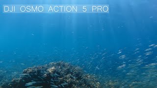 DJI OSMO ACTION 5 PRO SU ALTI GÖRÜNTÜLERİ 