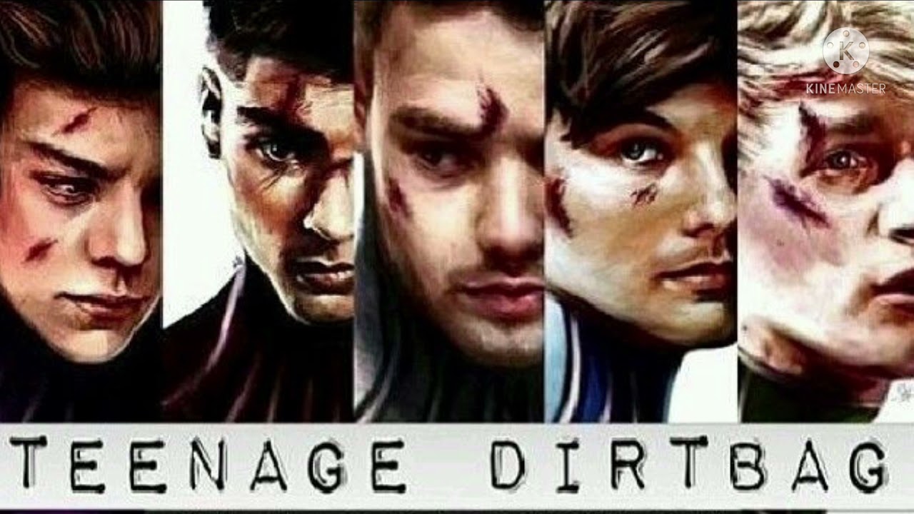 Teenage dirtbag one direction 1 hour 💚💙🇮🇪❤️💛